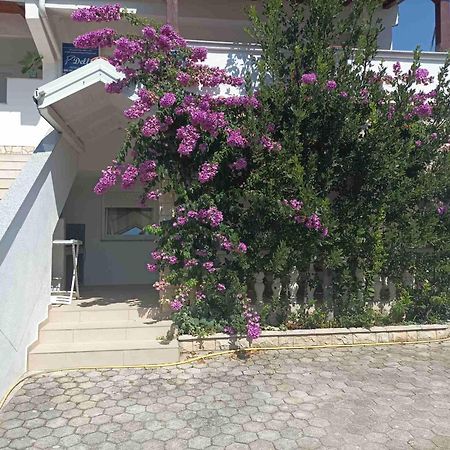Apartments Vir Delfin Kültér fotó